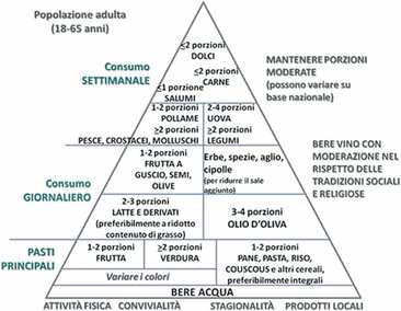 La piramide della nutrizione: guida completa - Manipulus Mosca