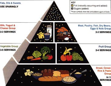 Piramide dieta USA 1992