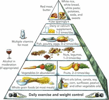 Healthy eating pyramid